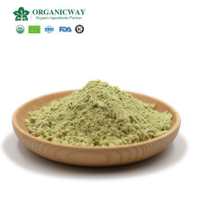 Top-quality Vegan protein powder Food Grade Cold Pressed organic pumpkin seed protein Powder